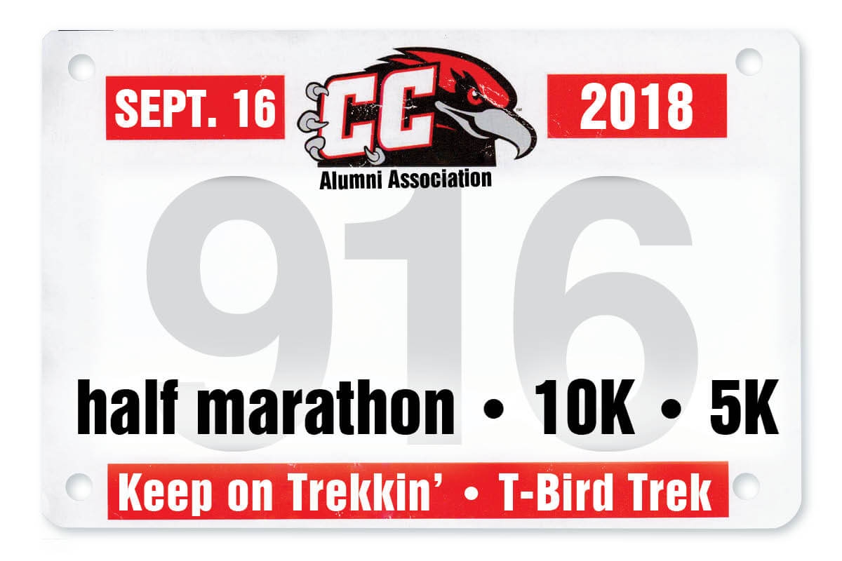 2018 T-Bird Trek Image.