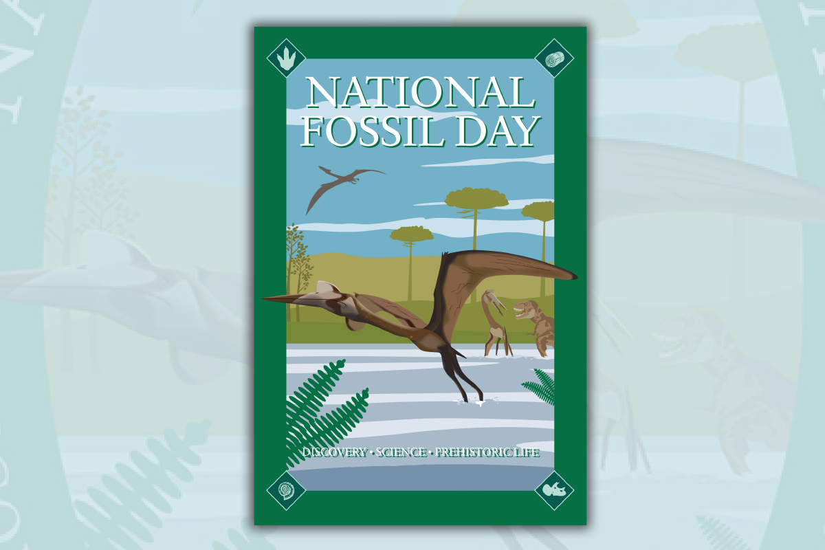 National Fossil Day Image.