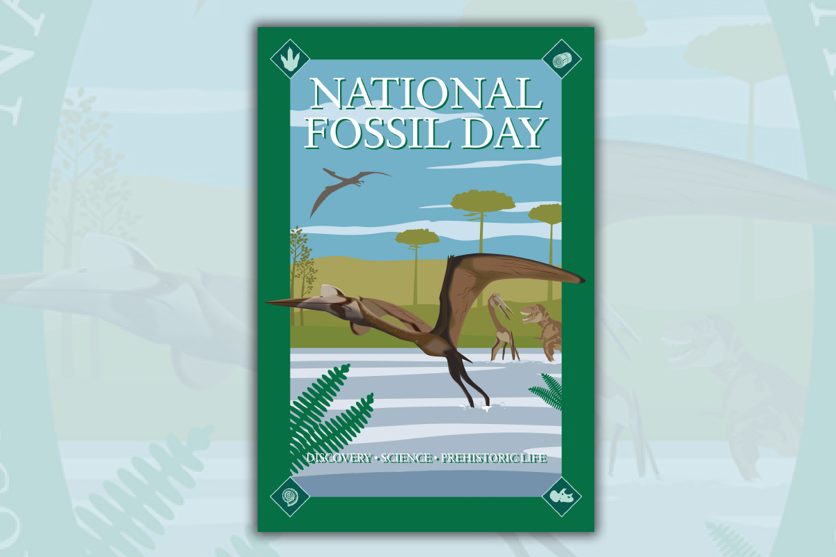 fossildayimage_0 National Fossil Day Image.