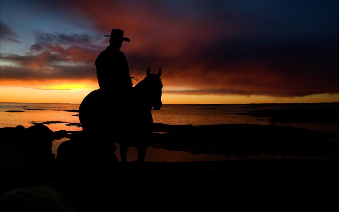 Students and Horses Sought for Trimming Class
