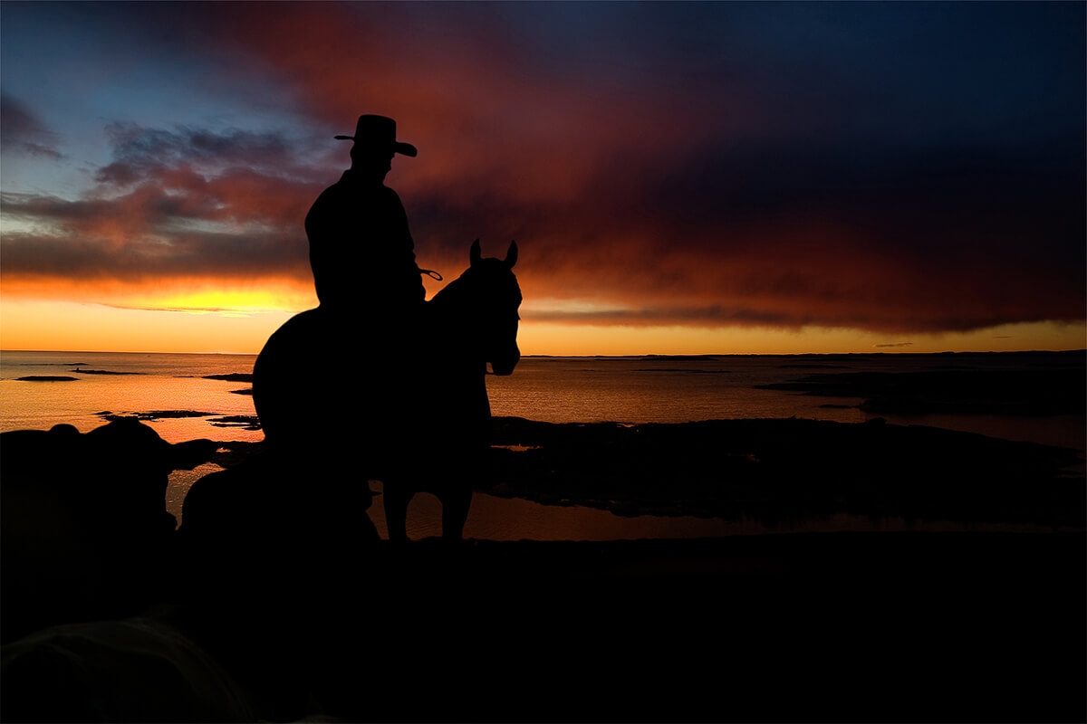 horsetrimmingimage Photo of horse and rider.