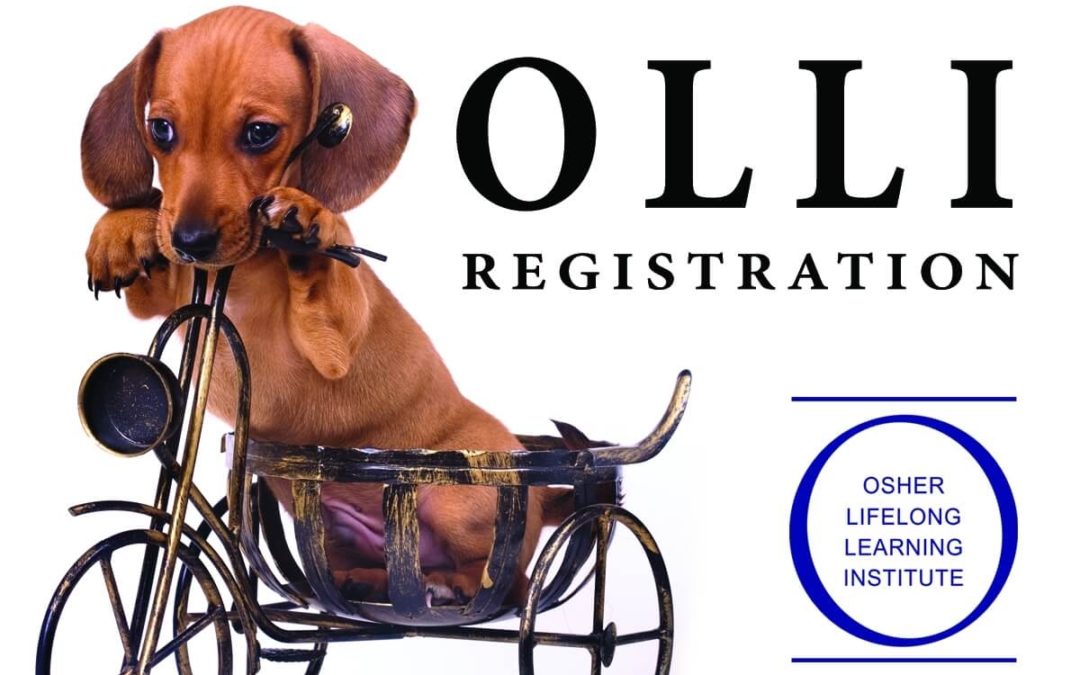 OLLI Fall Features 56 Offerings – Fall Registration Announced