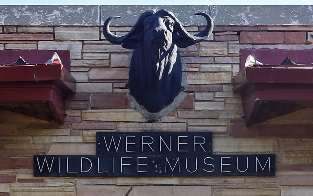 Behind the Scenes Peek Offered at the Werner Wildlife Museum
