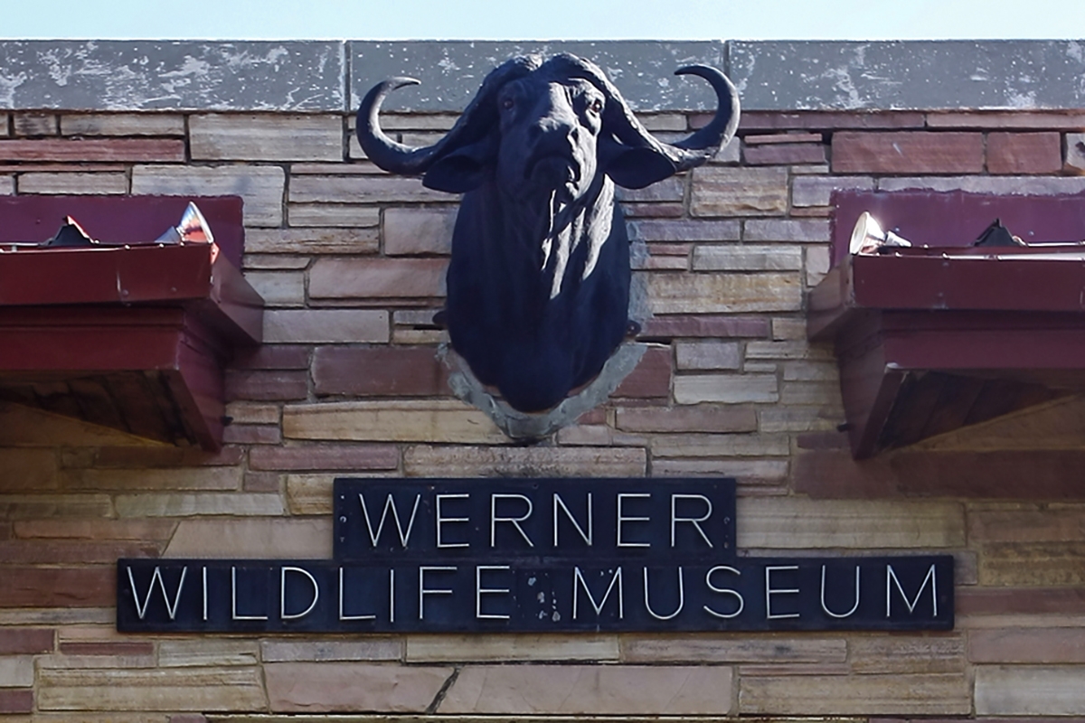 Photo of the front of Werner Wildlife Museum in Casper, Wyoming