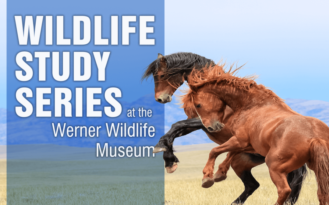 Wyoming’s Ferris Mountains Topic