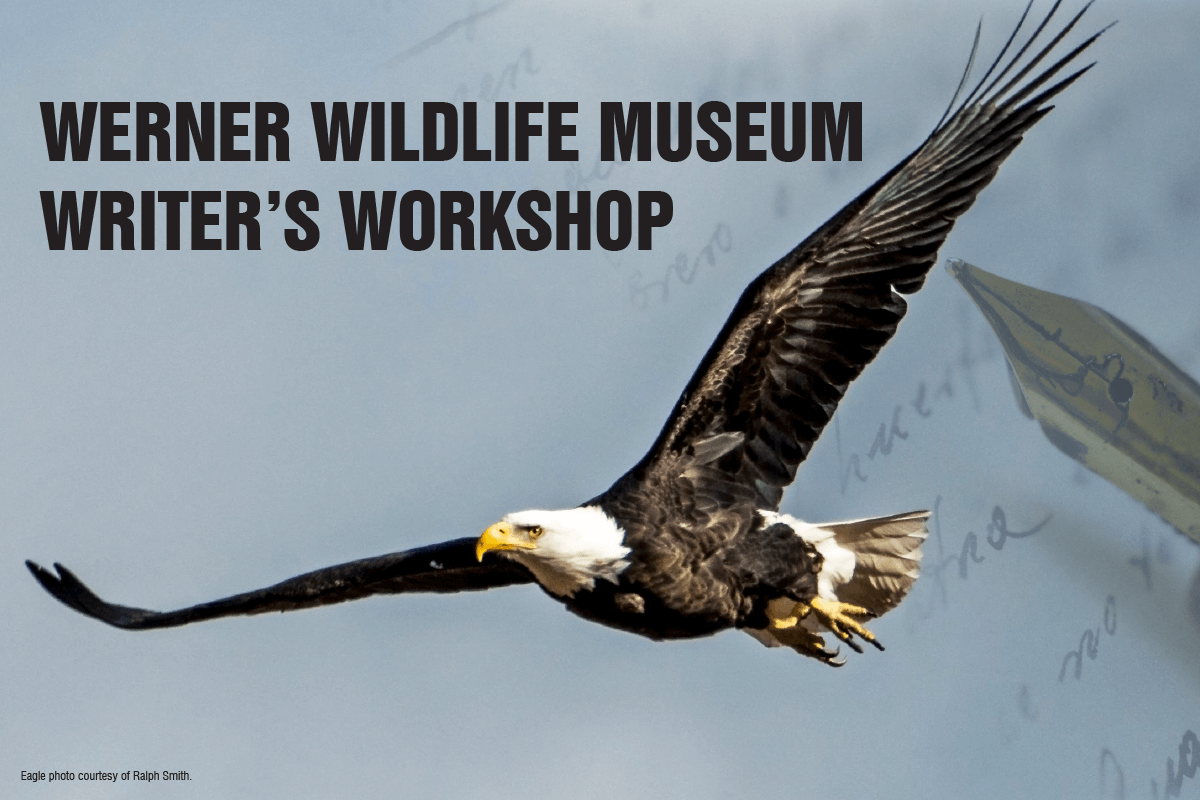 Image for the Werner Wildlife Writer's Workshop.