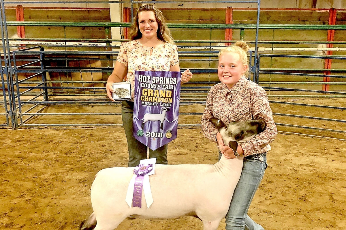 Photo of the 2018 Grand Champion Lamb at the Hot Springs County Fair.