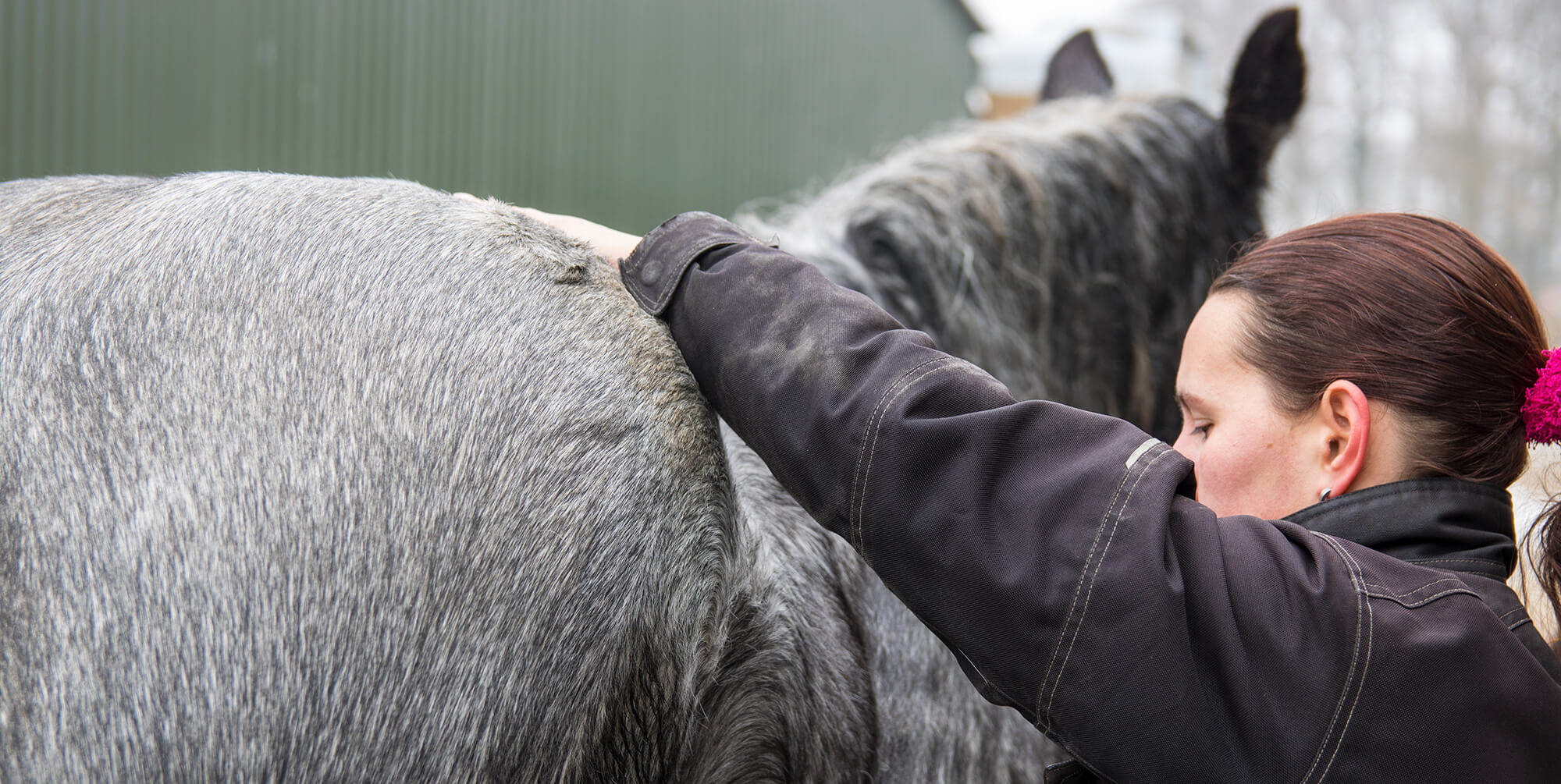 Photo of a woman petting the back of a gray horse.