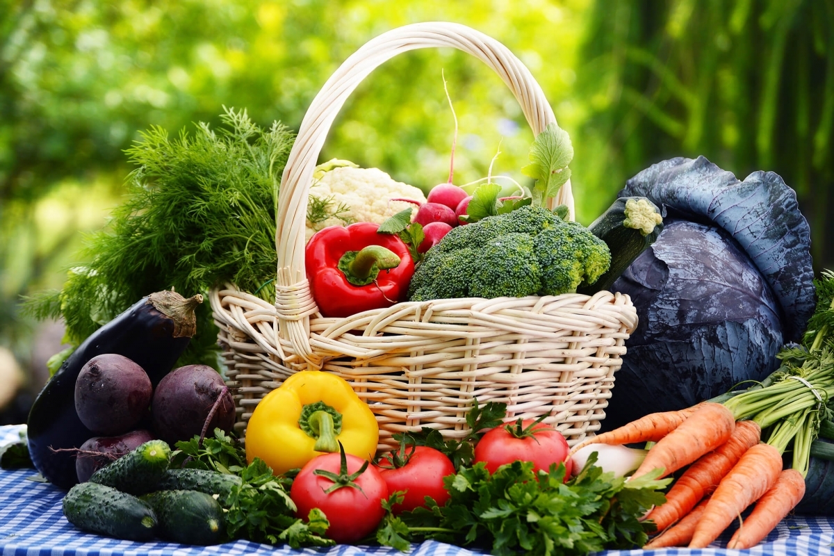 Photo of vegetables for greenhouse sale press release.