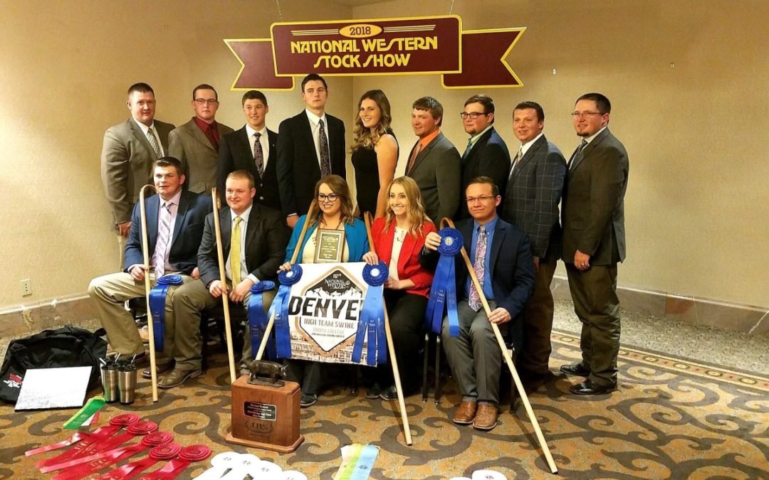 Livestock Judging Team Finds Success in Recent Contests