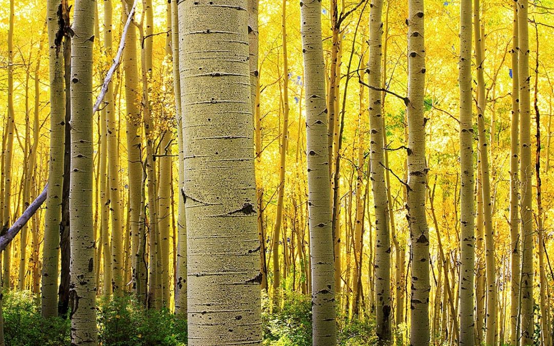 Documentary on Ferris Mountains Premieres at Casper College