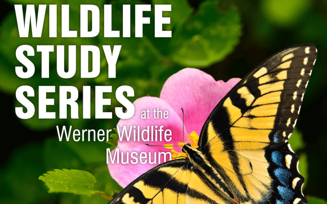 Hutchinson to Talk on “Birds of Peru”
