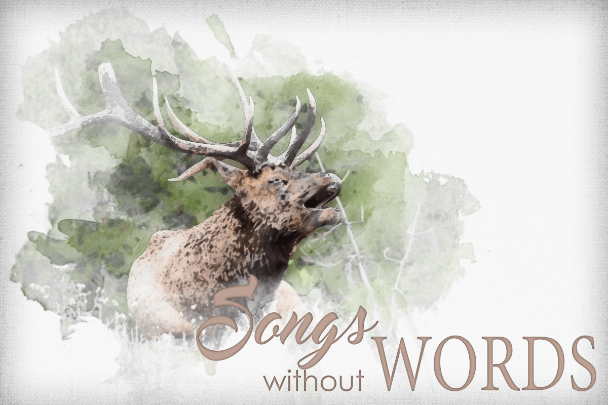 Entry forms and guidelines are now available at the Werner Wildlife Museum for the museum’s first winter art show for youth titled “Songs Without Words.”