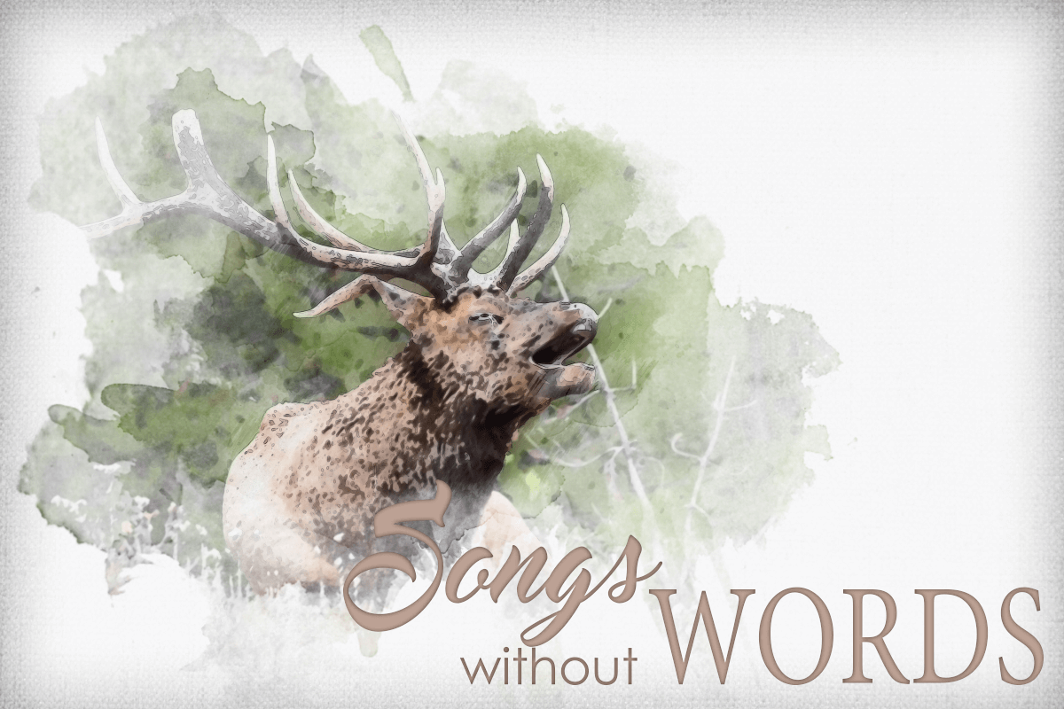 werneryouthimage Entry forms and guidelines are now available at the Werner Wildlife Museum for the museum’s first winter art show for youth titled “Songs Without Words.”