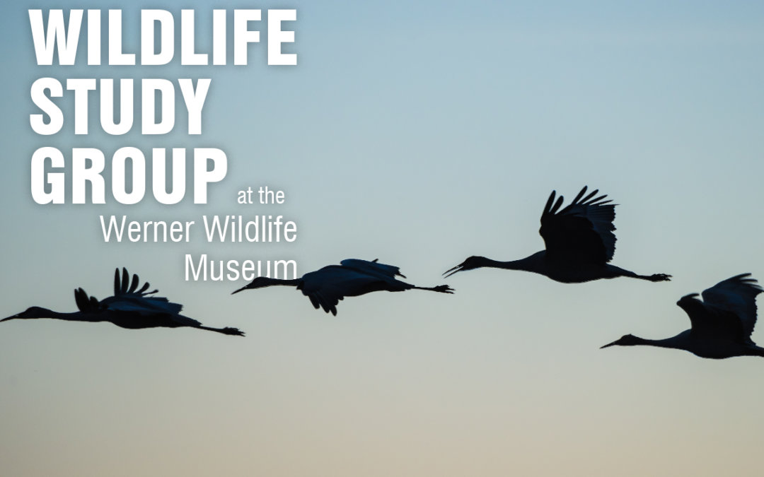 Parasites and Mammals Next Topic of Study Group