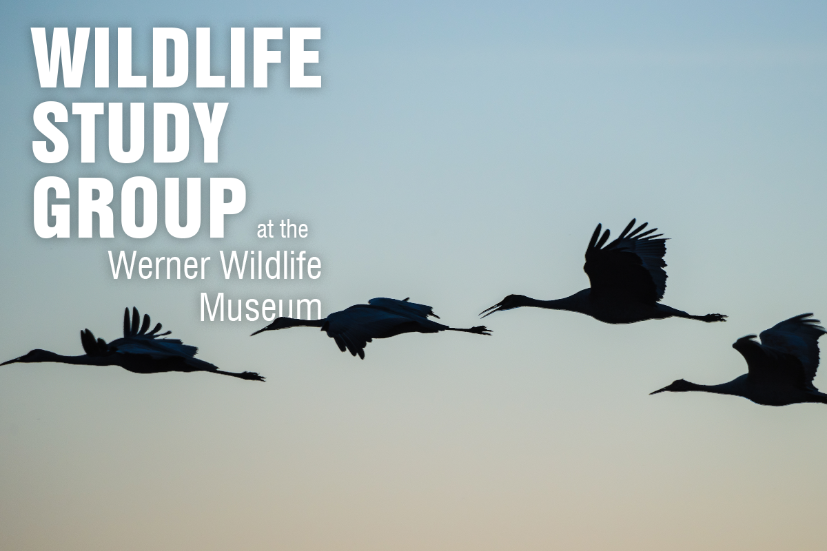 Warner Wildlife Study Group