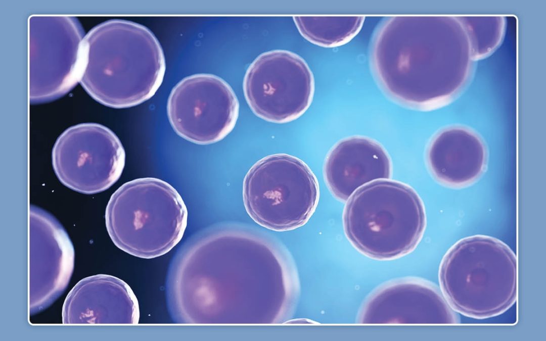 Local Surgeon to Discuss Stem Cells