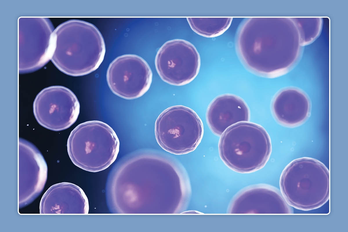 zimmermanimage1 The Casper College Zimmerman Lecture Series will feature a presentation by Dr. Todd Beckstead titled: "Stem Cell Therapy" on Tuesday, February 27 at 7 p.m.