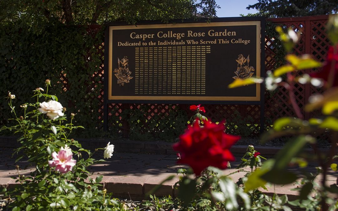 Hidden Campus: Rose Garden