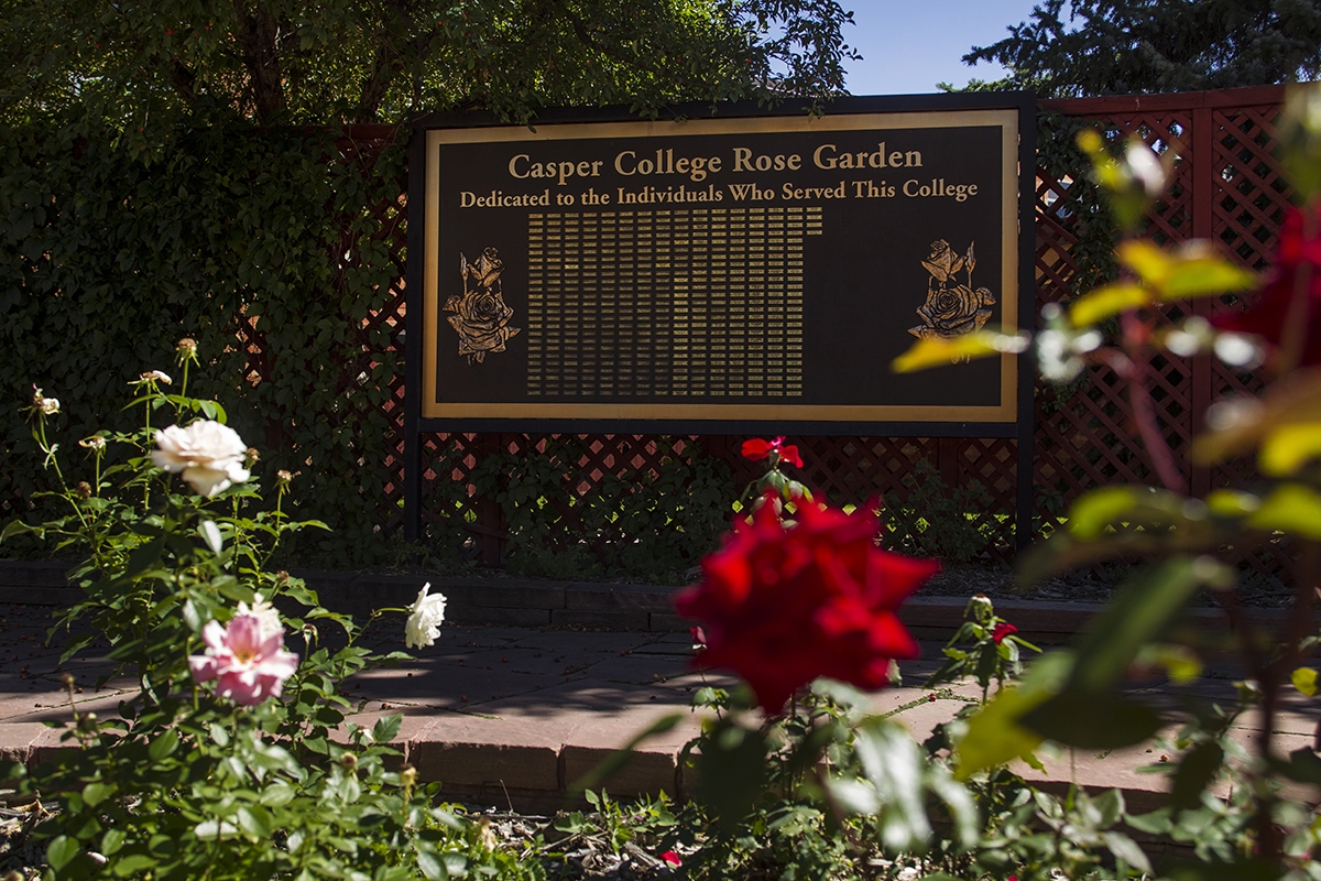 Casper College rose garden