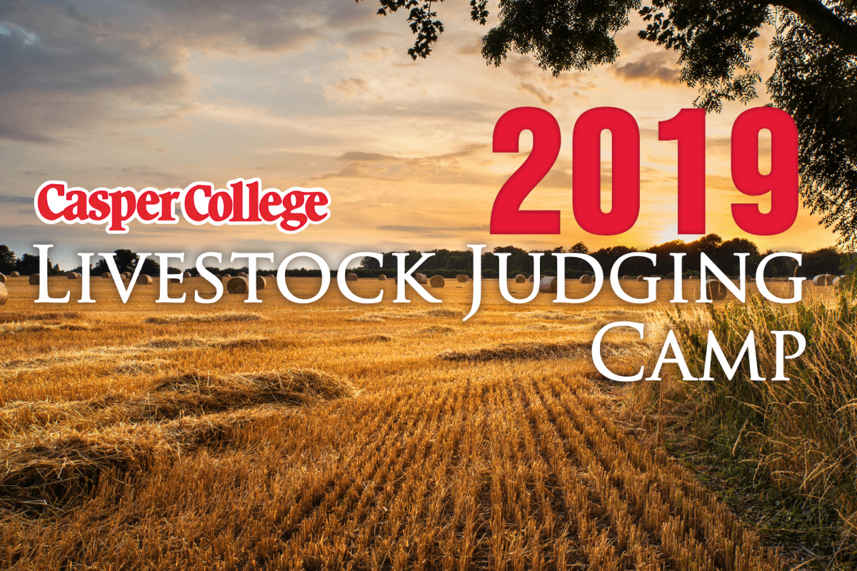 livestockjudgingcampimage-0619 Image for Casper College Livestock Judging Camp press release.
