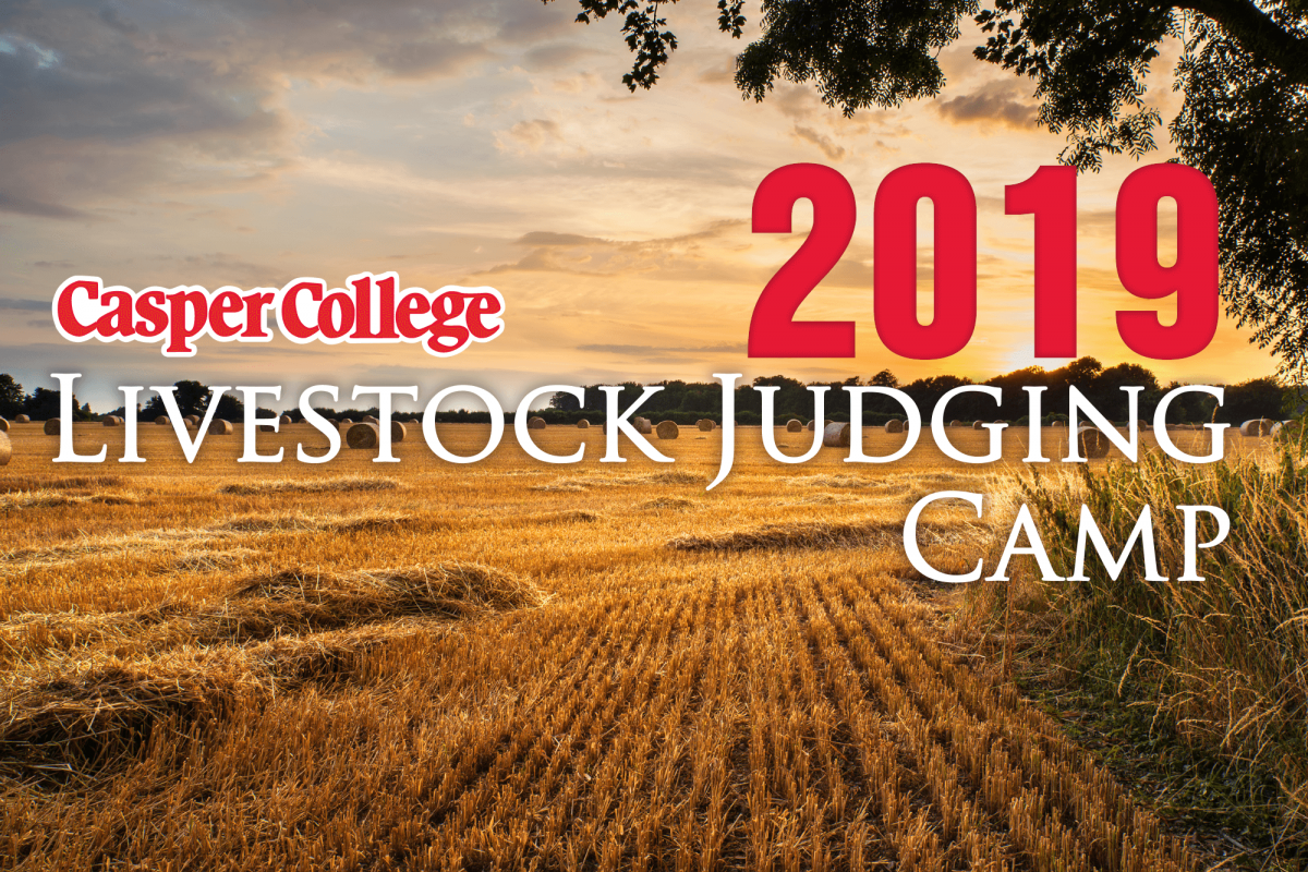 Image for Casper College Livestock Judging Camp press release.