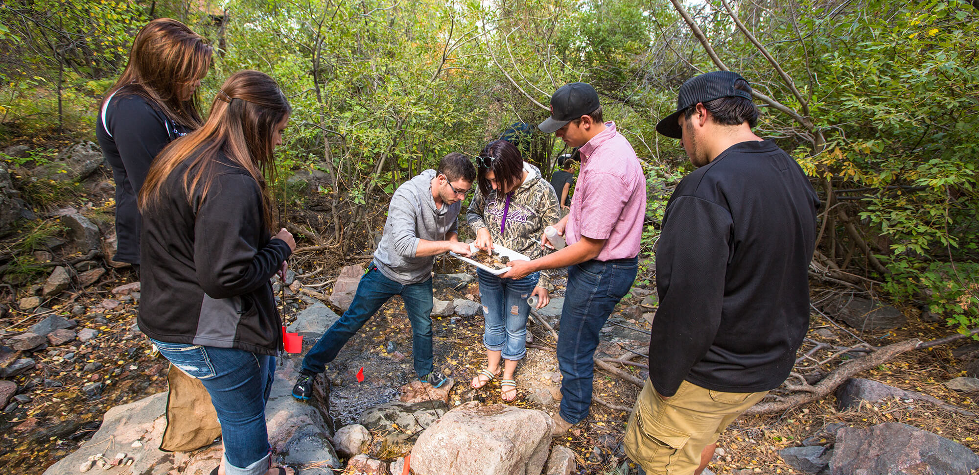 Students group around a tray of specimens collected in a stream on Casper Mountain.
