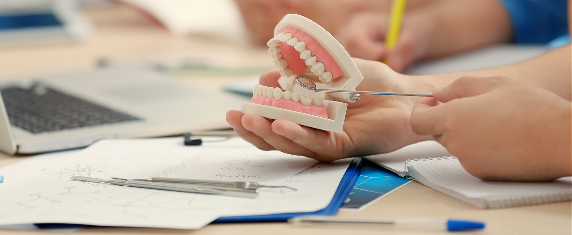 Close-up photo of someone practicing a dental exam on a handheld set of plastic teeth.