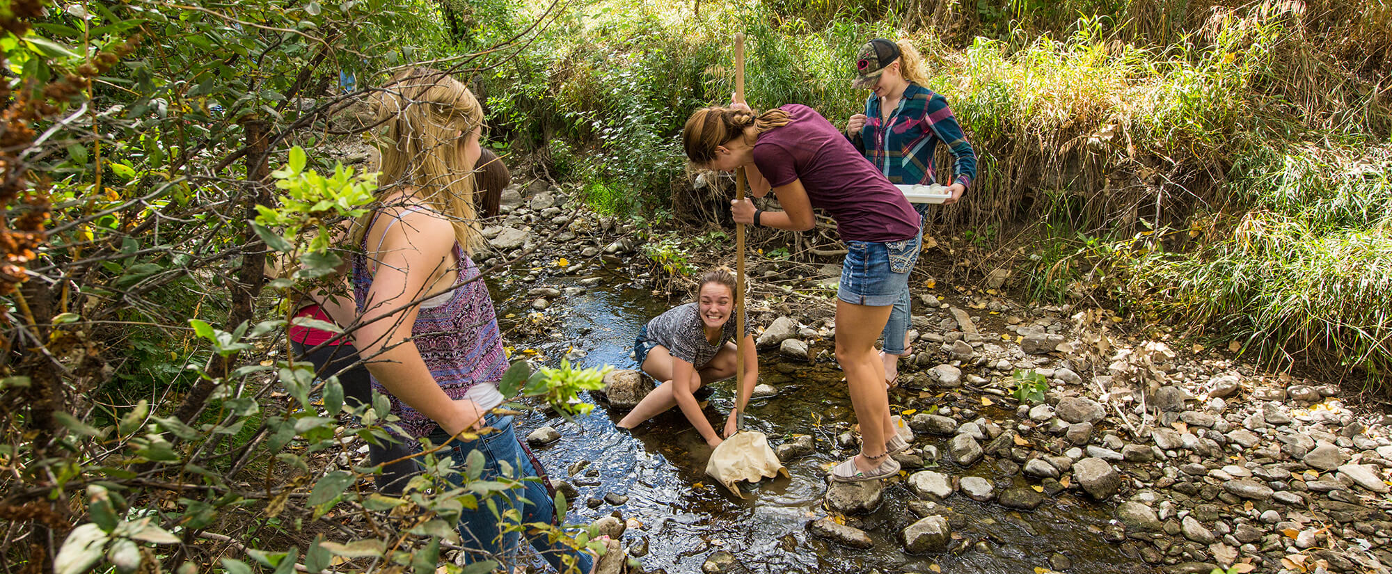 Students look for specimens in a stream near Casper Mountain.