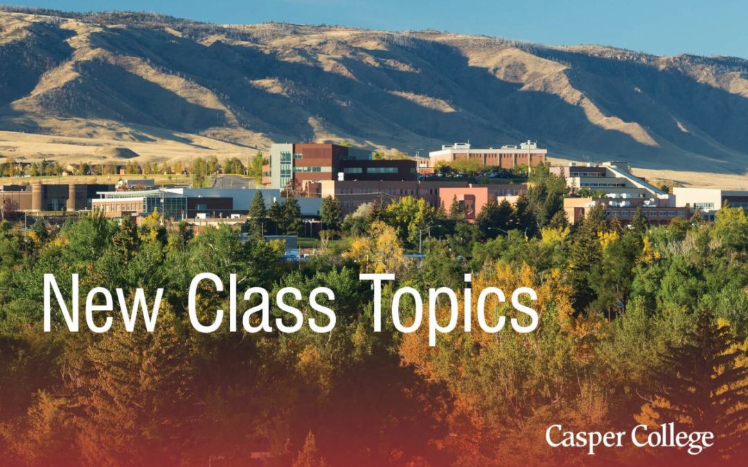 Classes to Explore Holocaust, Terrorism, and Latin America