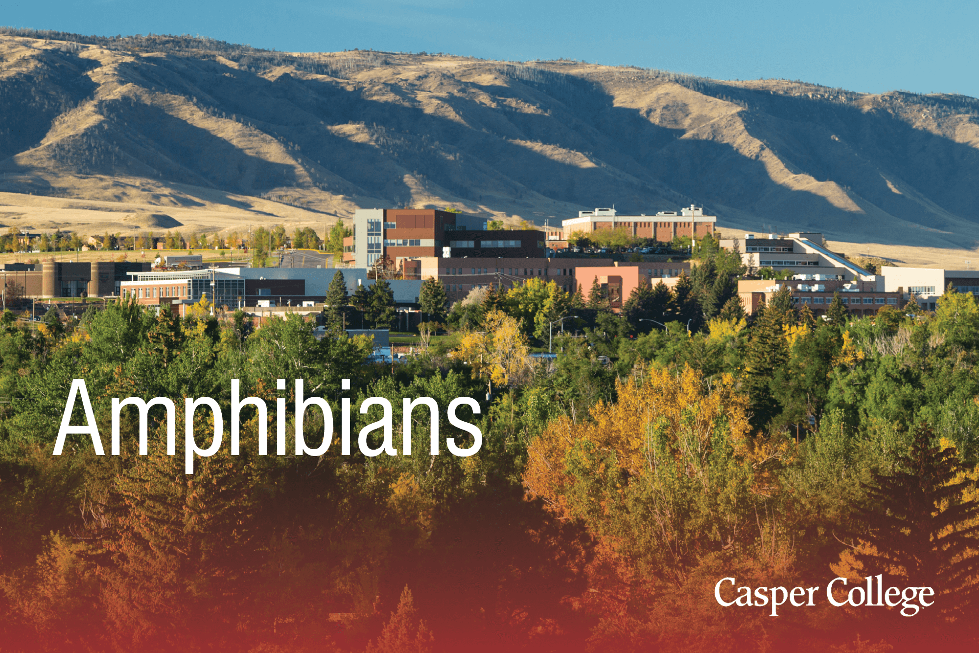 Photo of Casper College with the word Amphibians