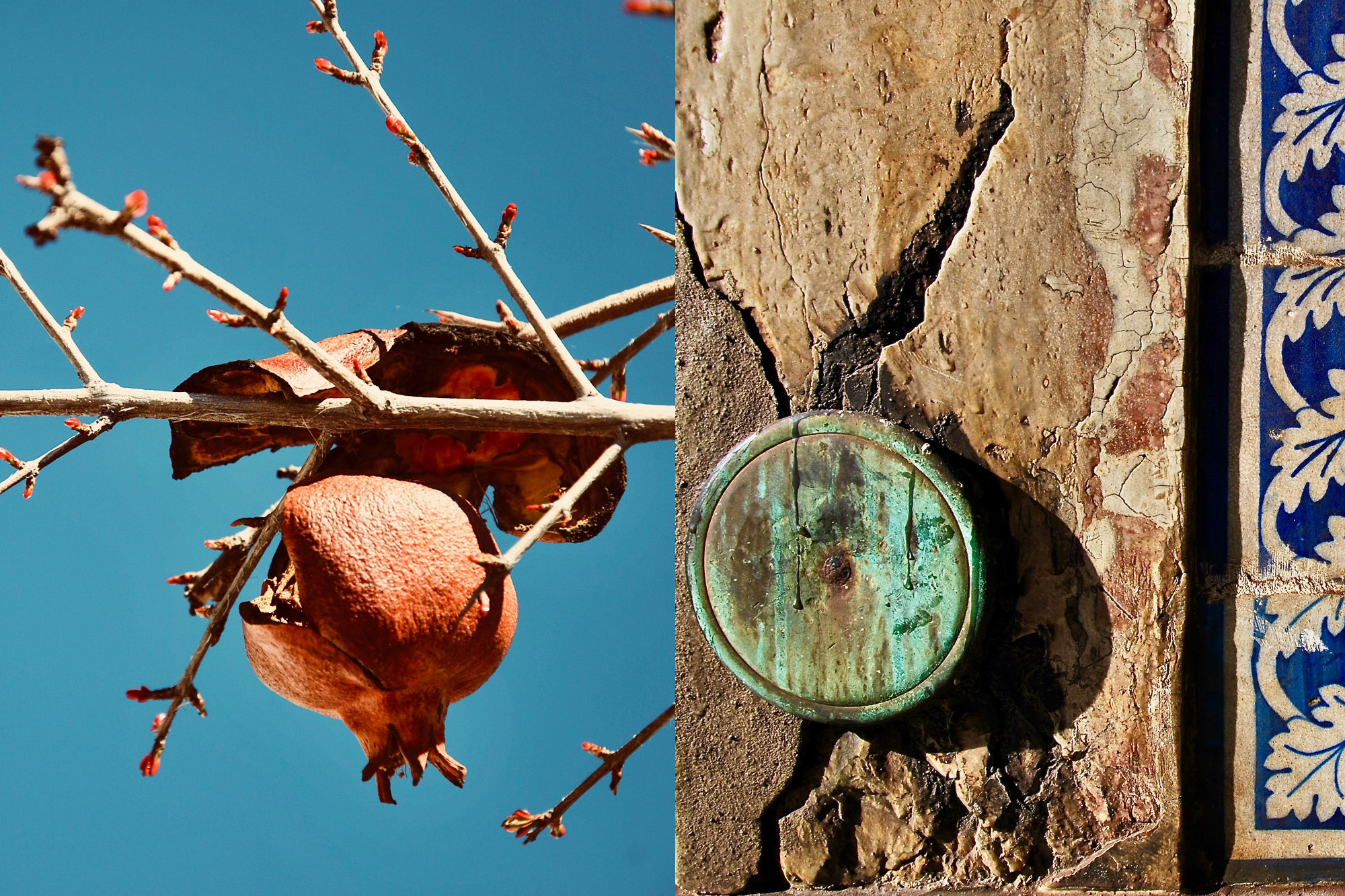 Two photos one showing a dried seed on a branch of a tree and the other a piece of aged wood with a circle-shaped piece of wood nailed on top of the board.