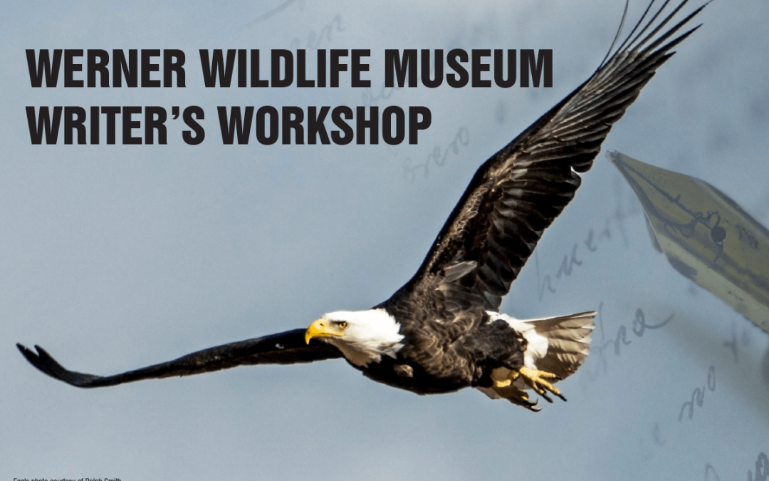 Tom Rea to teach writer’s workshop at Werner