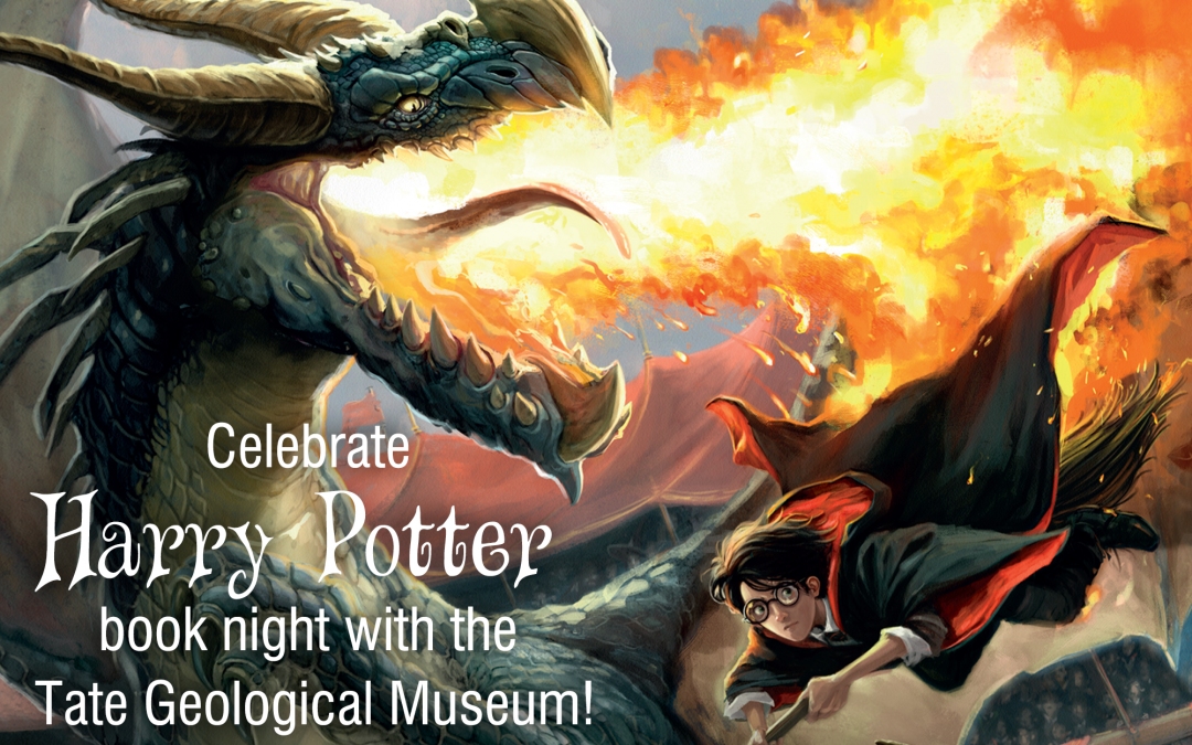 Harry Potter Book Night 2020 at the Tate