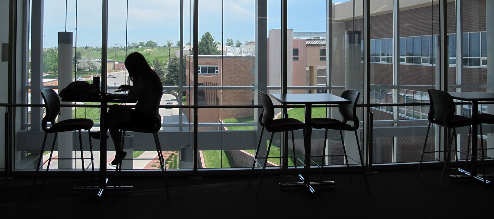 campus-studying-silhouette photo of a student studying, backlit