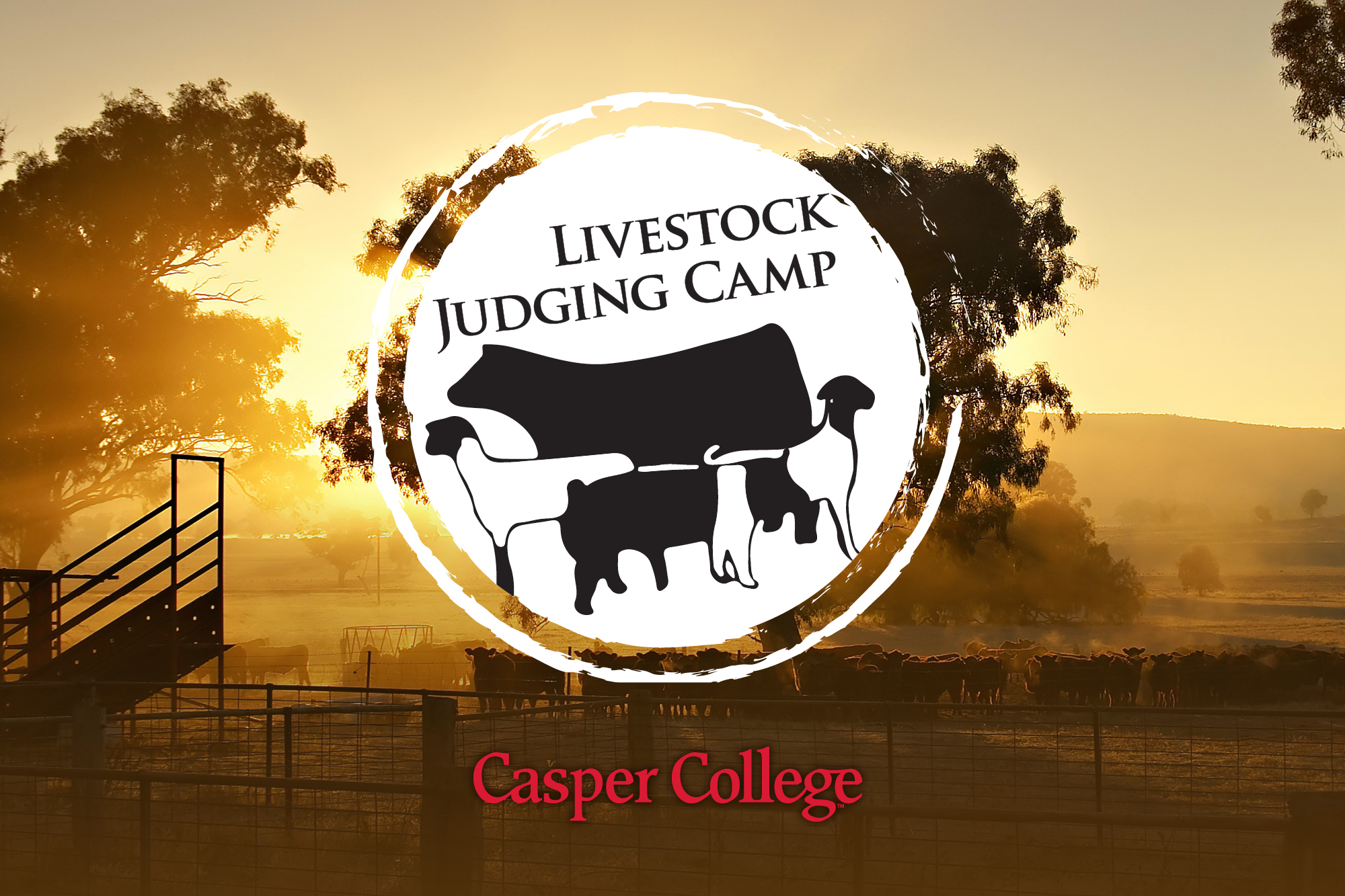 Image of the logo for the Casper College Livestock Judging Camp.
