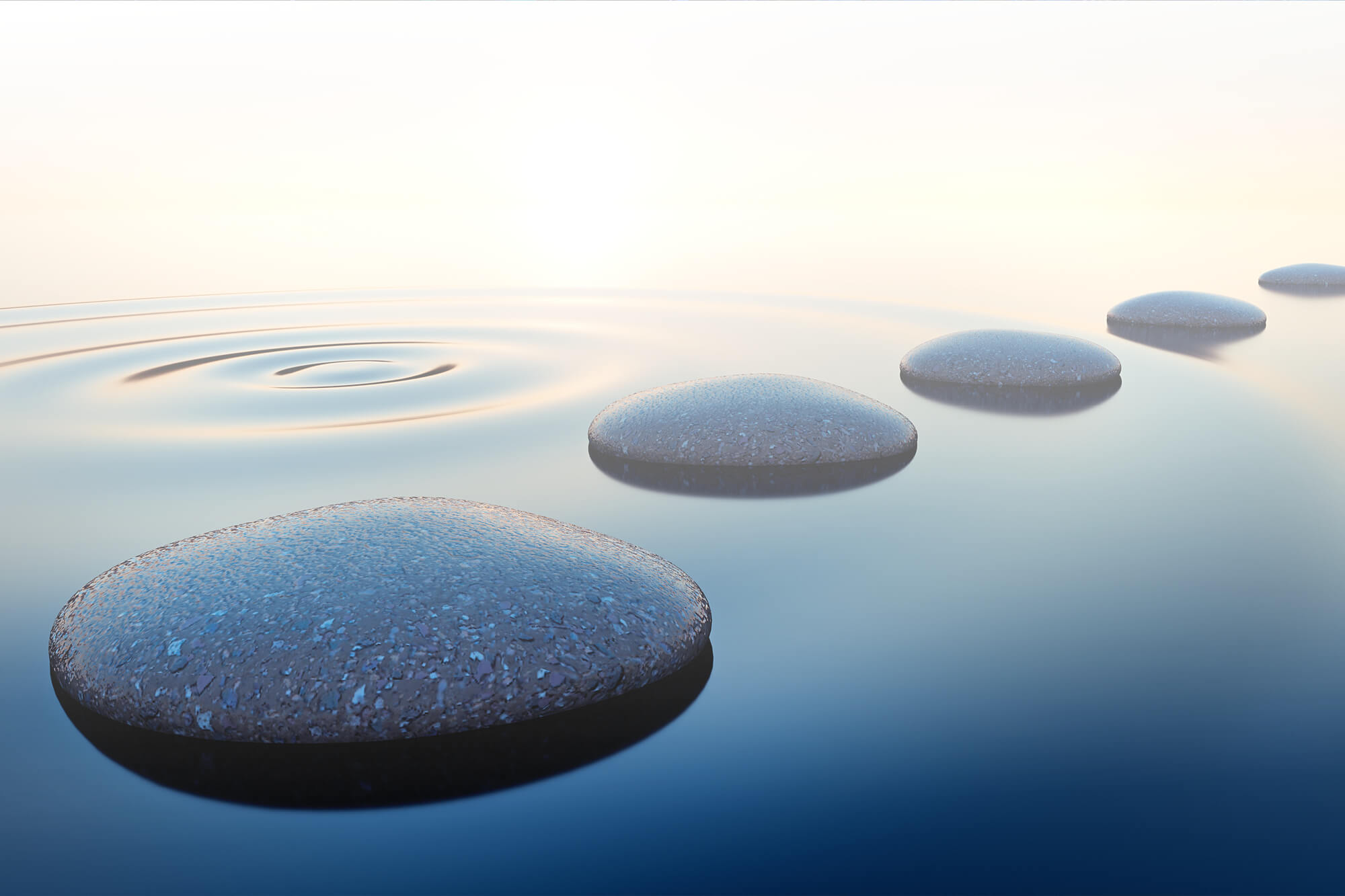 WellnessConferenceImage–0320 Photograph of walking stones in a pool of water.