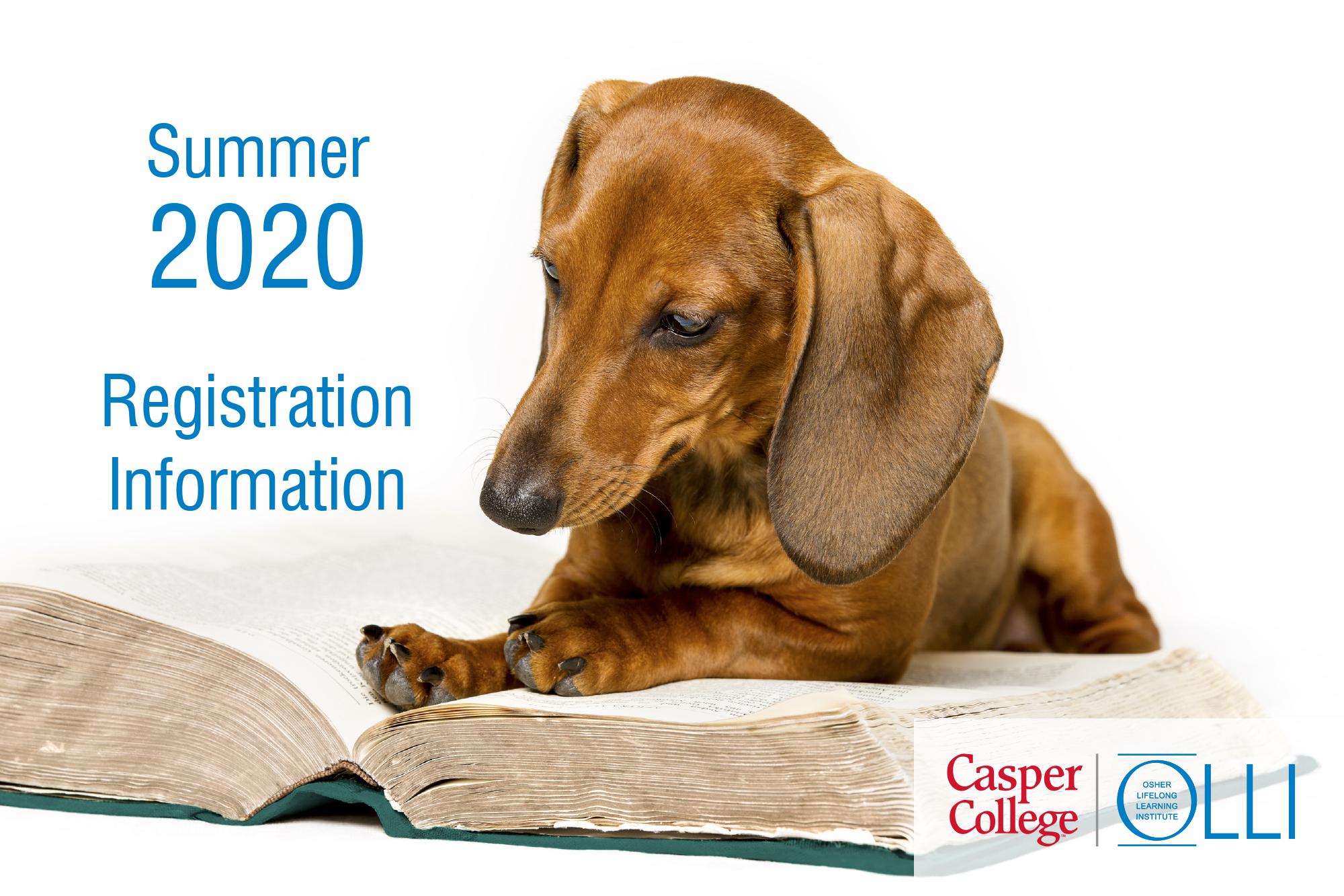 Photograph of a daschund and book with the words "Summer 2020 Registration Information."