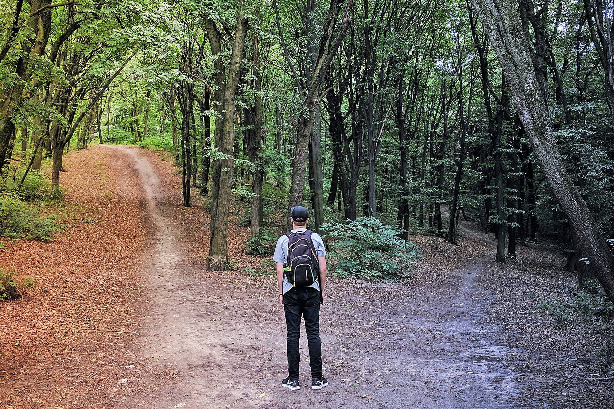 Man looking at two paths in the woods.