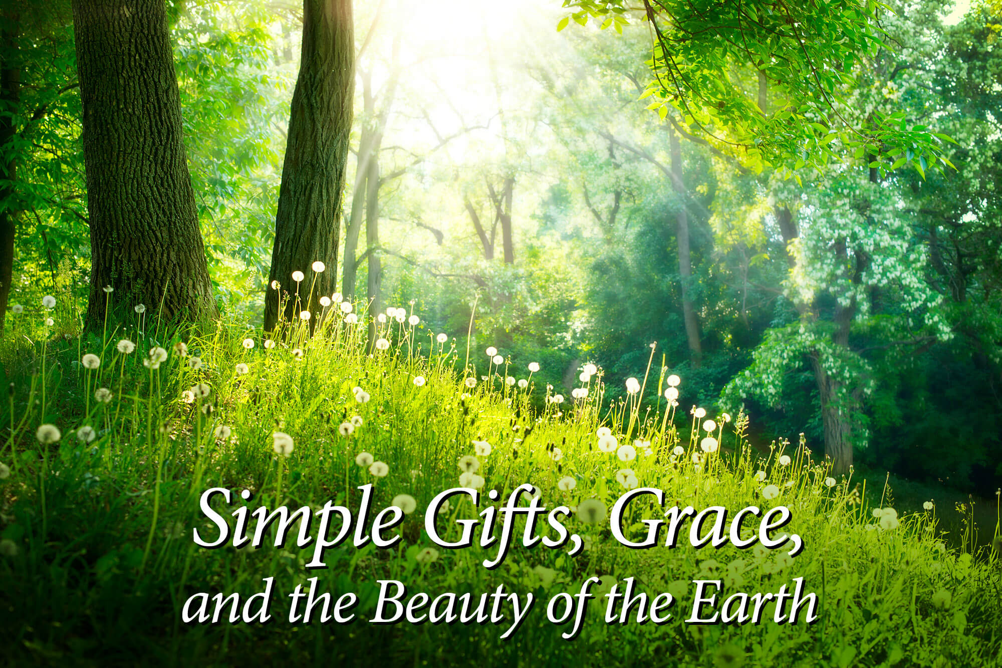 Photograph of trees and grass with the words "Simple Gifts, Grace, and the Beauty of the Earth."