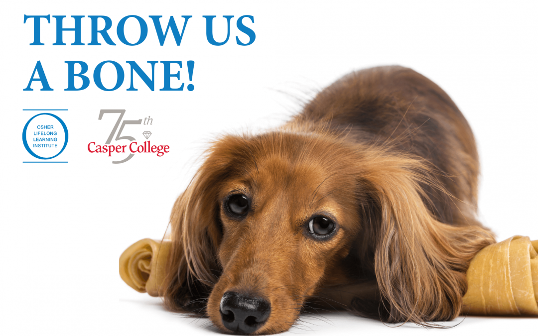 OLLI ‘Throw Us a Bone’ encourages giving