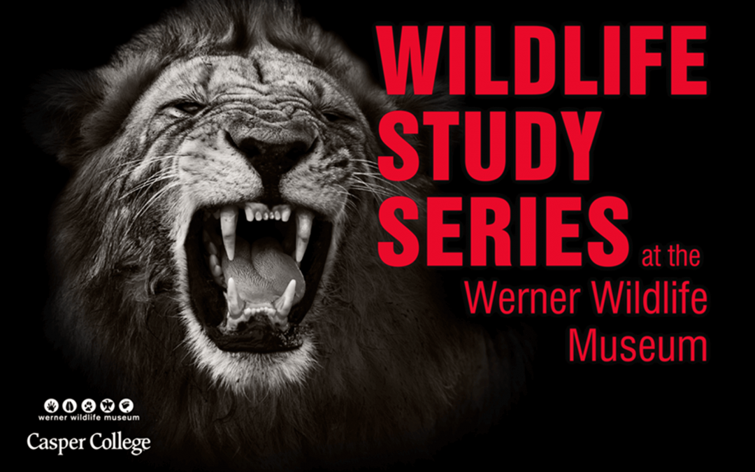 “The Sagebrush Sea” topic for June at Werner