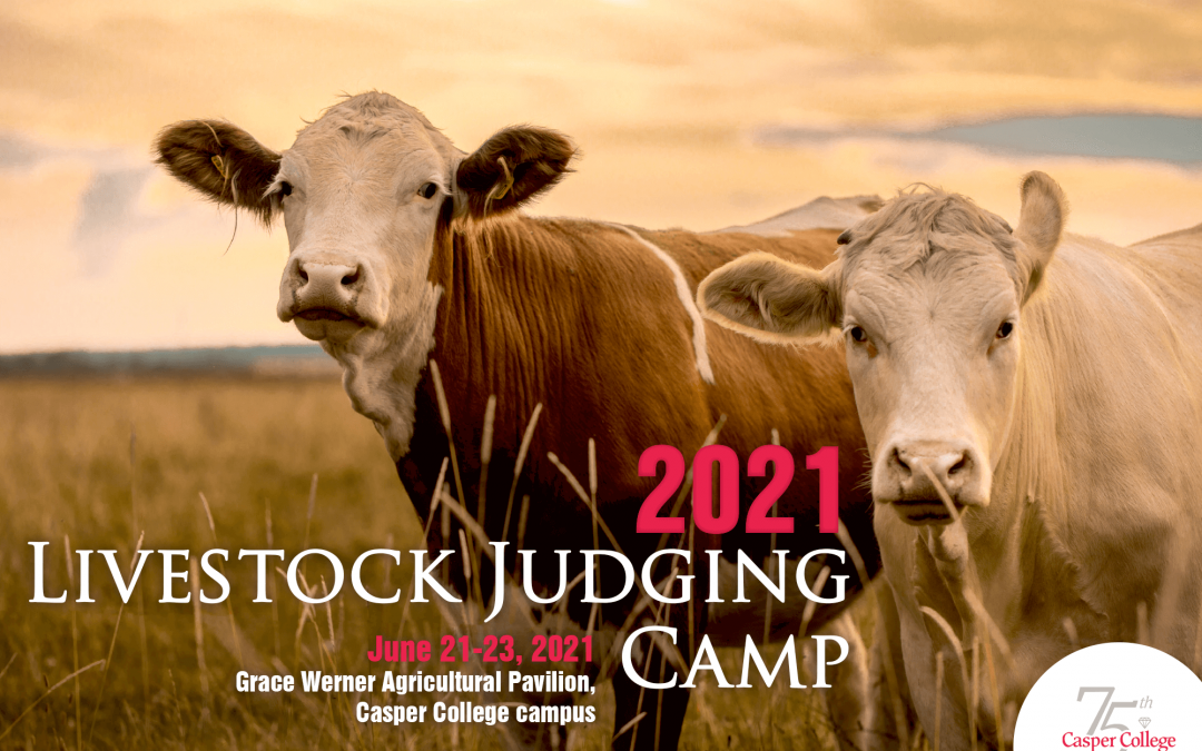 After year hiatus, CC judging camp returns