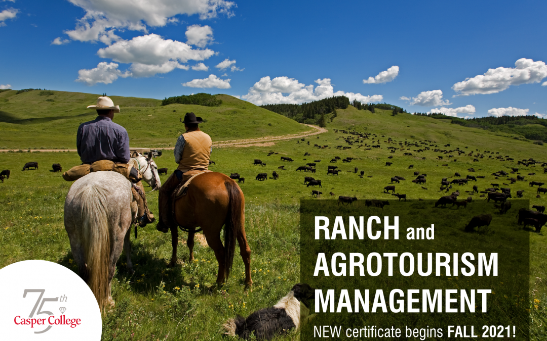 New ranch and agrotourism management certificate offered for fall 2021 semester