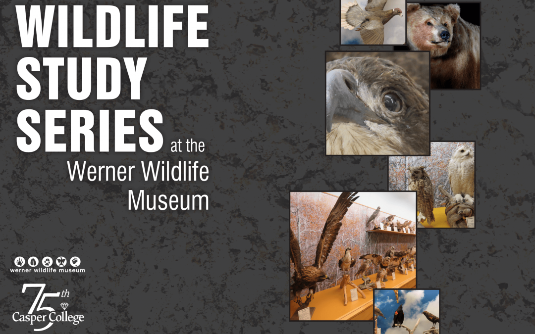 ‘What’s New at the Werner’ topic for August