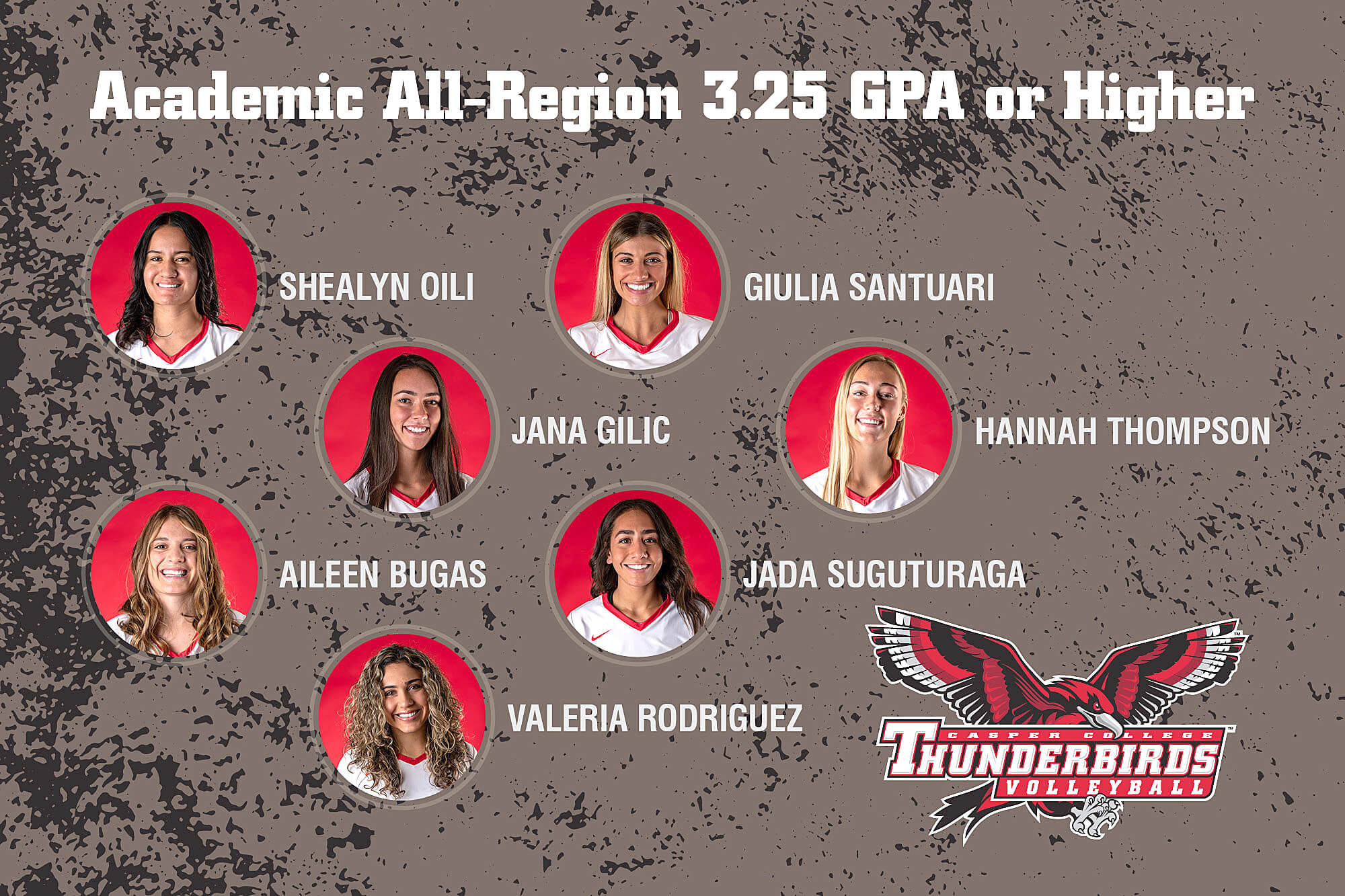 Image for volleyball academic honors release.