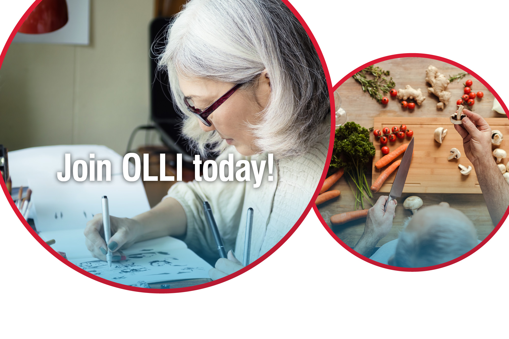 Image for OLLI registration story.