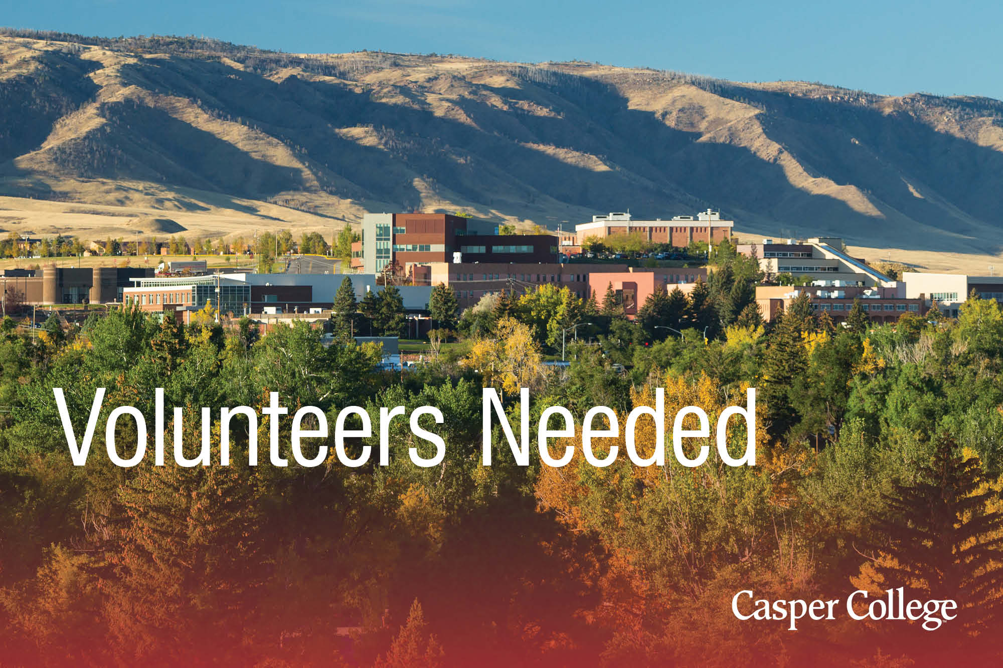 Image with the words "Volunteers Needed."