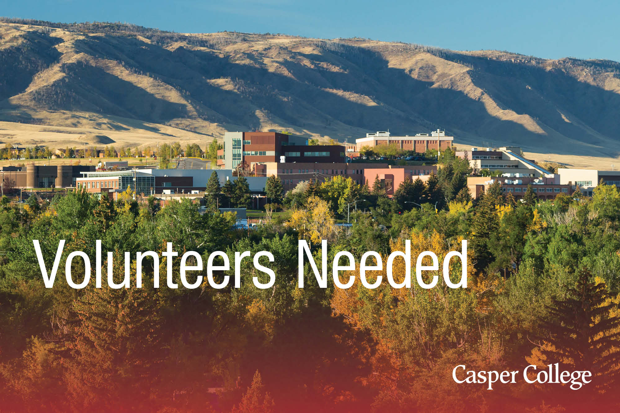 TournamentJudgersImage–1021 Image with the words "Volunteers Needed."
