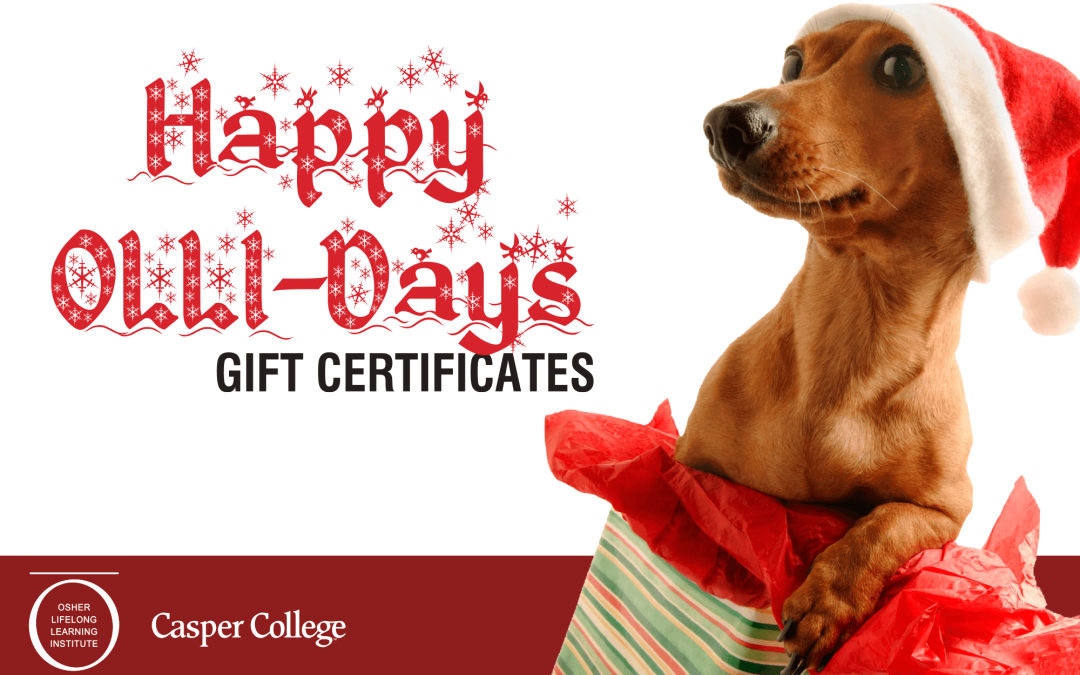 Give the gift of learning with OLLI